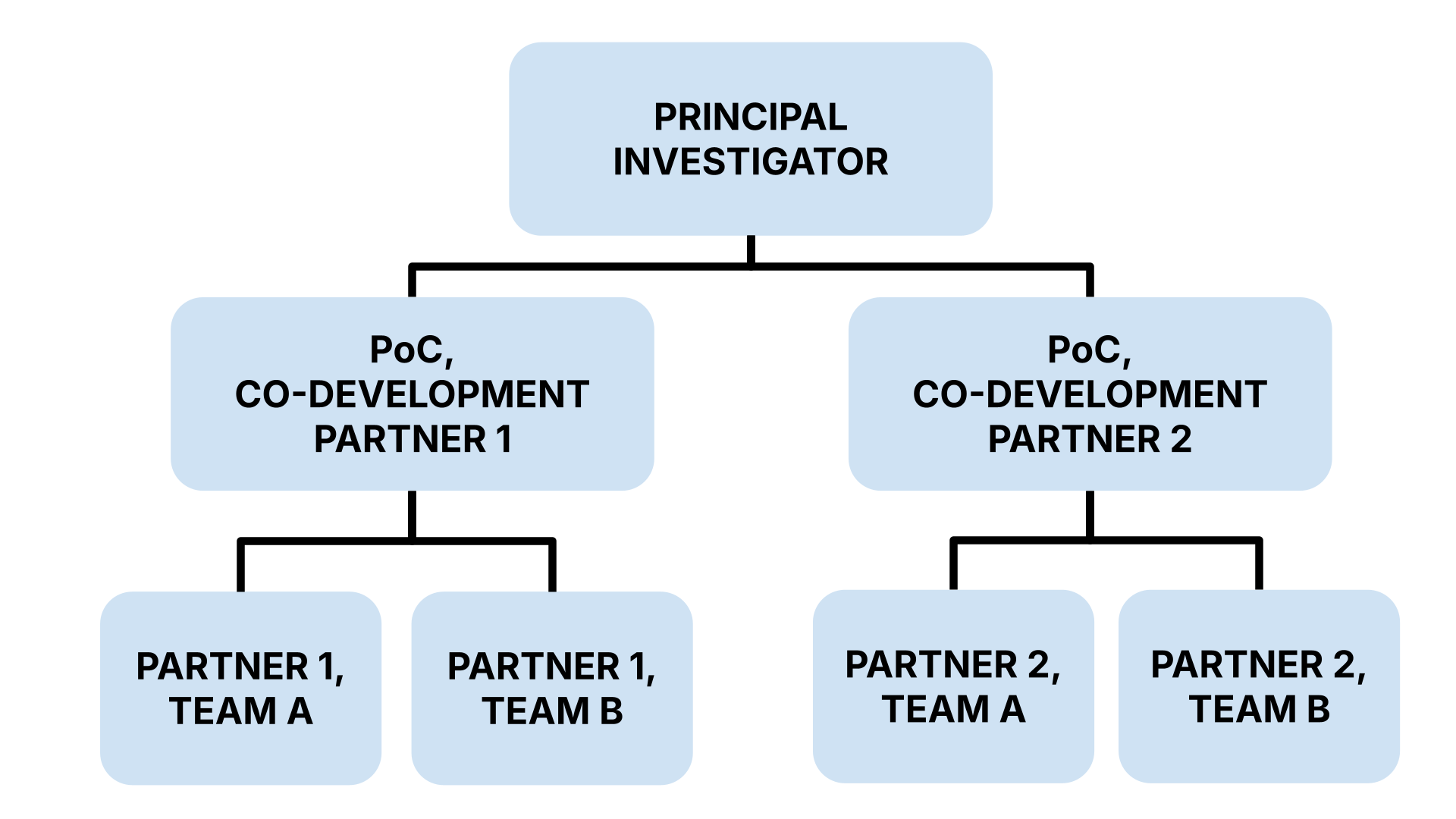 Template organizational chart showing reporting lines and points of contact for co-development partners, to be adjusted based on the number of partners and complexity of the solution being implemented.